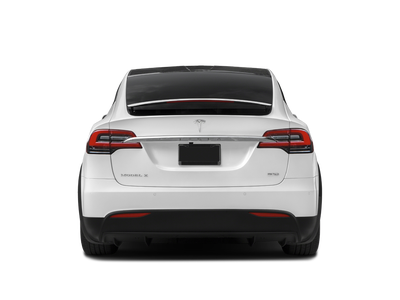 2019 Tesla Model X P100D